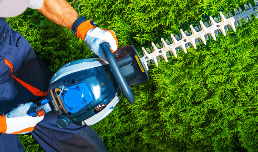 Lonesky Landscaping 