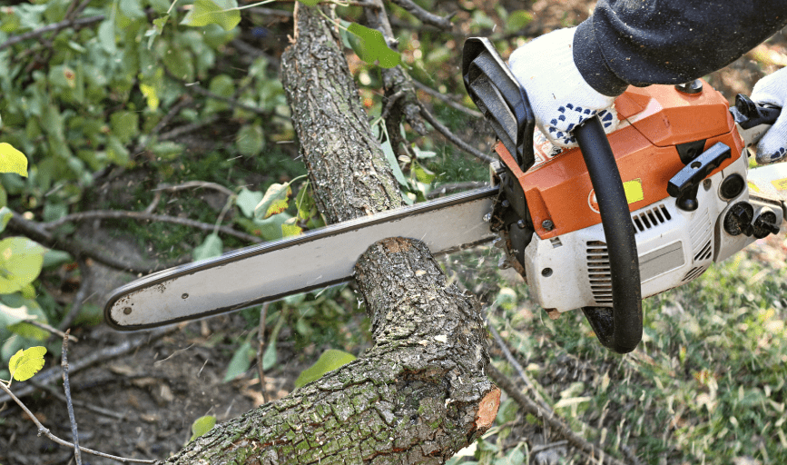 Lonesky Landscaping 